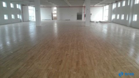 歐氏運(yùn)動木地板海濱二小項(xiàng)目案例