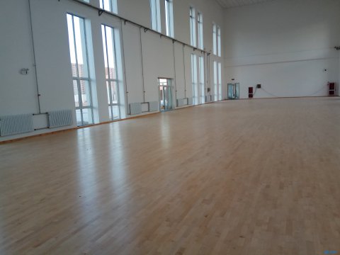 哈爾濱籃球場(chǎng)木地板生產(chǎn)廠家，歐氏地板有限公