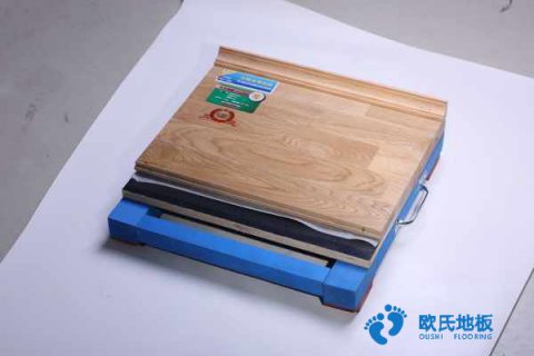 楓木、楓樺木、柞木運動地板用途是什么