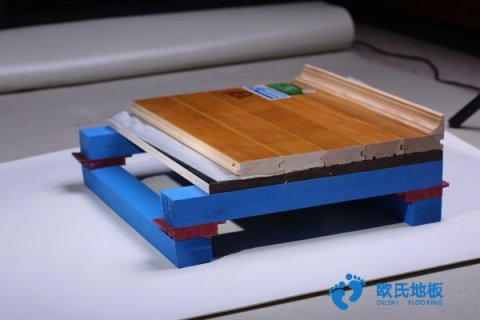 NBA籃球場(chǎng)館規(guī)格標(biāo)準(zhǔn)是什么