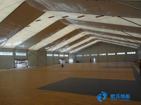 荊州運(yùn)動(dòng)木地板標(biāo)準(zhǔn)規(guī)范