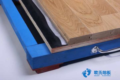 岳陽(yáng)羽毛球館的地板