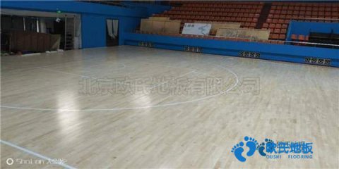 荊州學校體育場地跑道