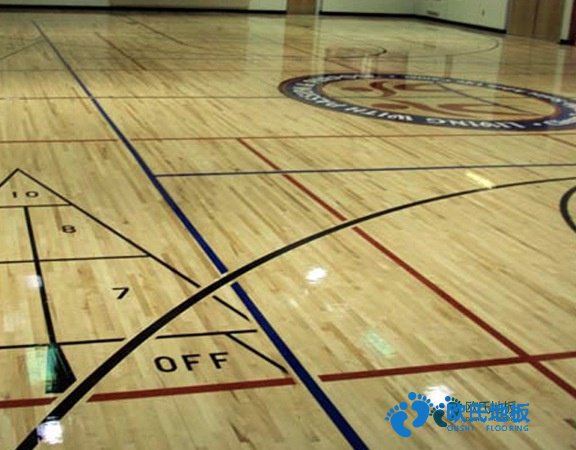 常見(jiàn)籃球場(chǎng)地板安裝公司