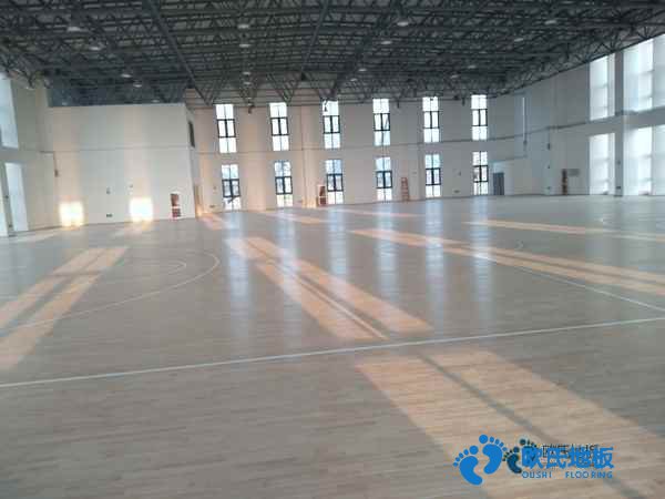 楓木運(yùn)動(dòng)籃球地板保養(yǎng)