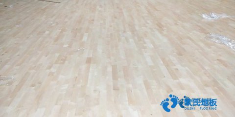 楓樺木籃球場地地板保養(yǎng)知識(shí)