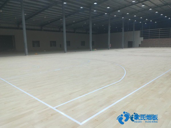那有籃球運(yùn)動木地板哪個牌子的好
