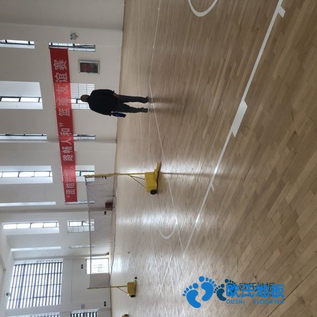 學?；@球館地板木紋型