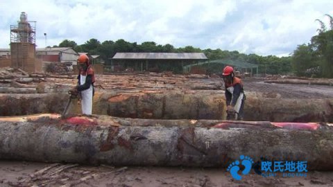 質(zhì)量好運(yùn)動場館木地板施工團(tuán)隊