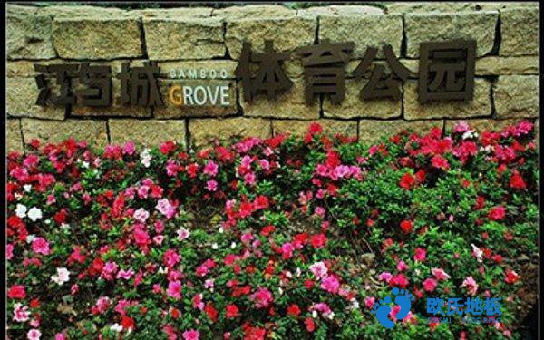 學?；@球場地地板反彈力