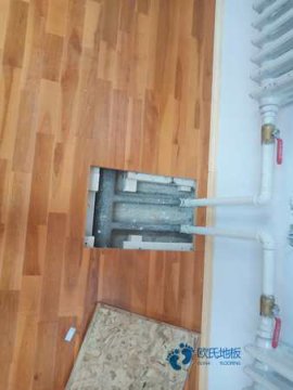 校園運(yùn)動(dòng)木地板