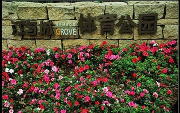 體育運(yùn)動木地板價格便宜2