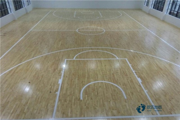 實木體育地板結構參數(shù)尺寸1