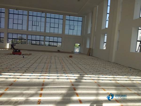 普通運(yùn)動木地板品牌電話3