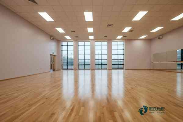 定做運(yùn)動(dòng)木地板品牌3