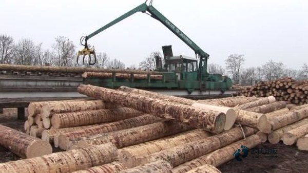 常用運(yùn)動籃球木地板行業(yè)品牌1