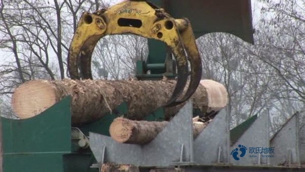 常用運(yùn)動籃球木地板行業(yè)品牌3