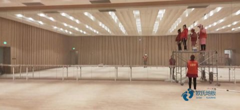 20厚運(yùn)動(dòng)場地板品牌有哪些