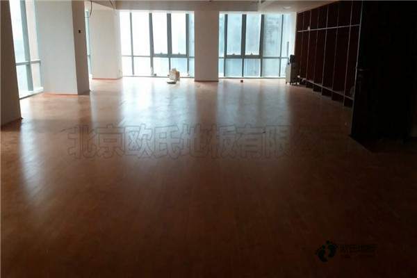 學(xué)?；@球木地板防震2