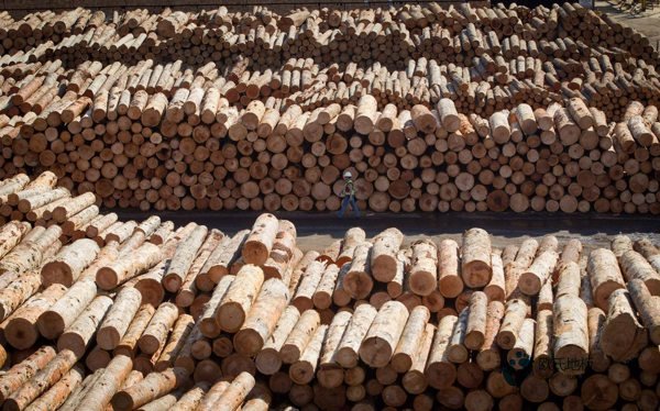 學(xué)?；@球地板反彈力